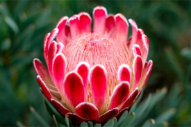 Eco Spirituality Workshops